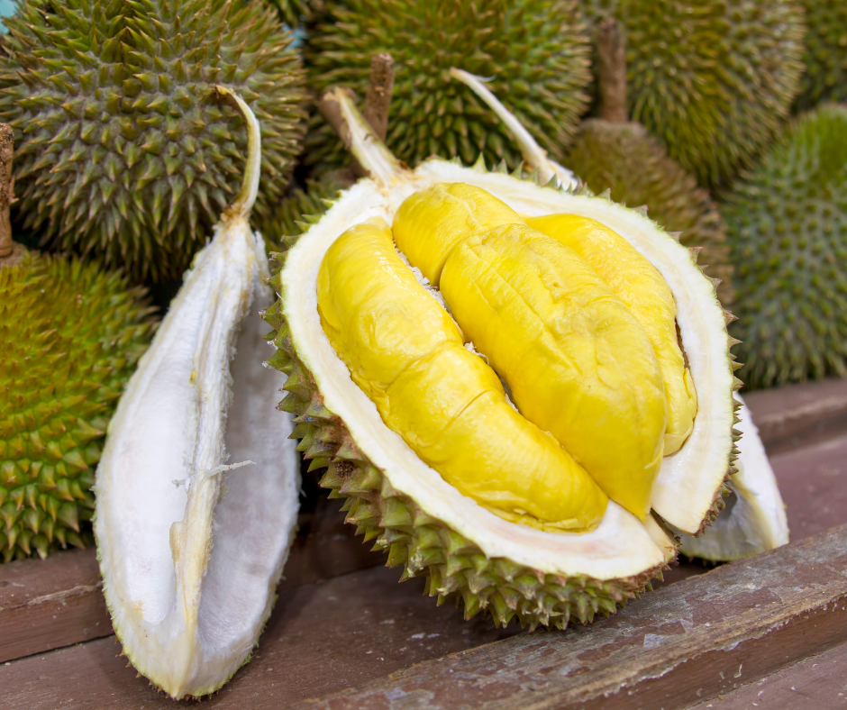 Durian vs Jackfruit: Exploring the King and Queen of Tropical Fruits
