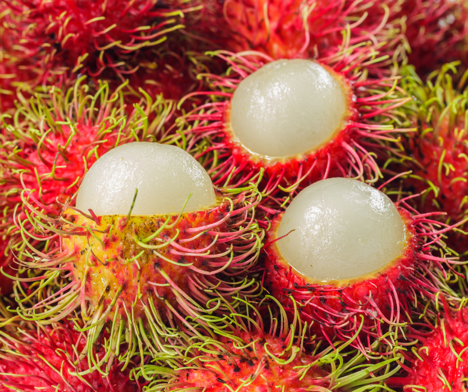Rambutan and Lychee: Unraveling the Tropical Sensations