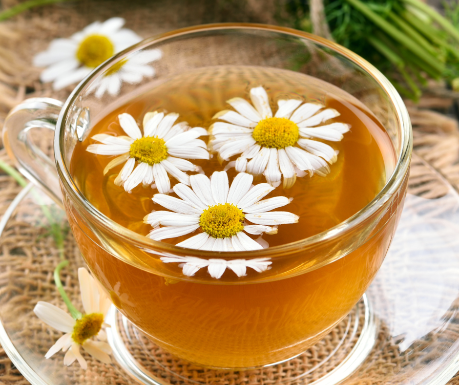What Does Chamomile Tea Taste Like: Unveiling its Floral Notes
