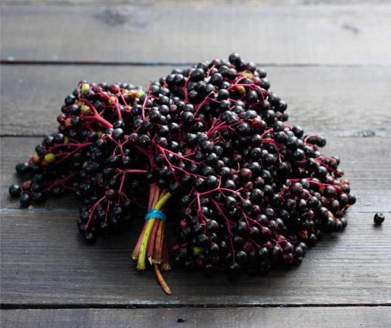 What Does Elderberry Taste Like: Exploring its Unique Flavor Profile ...