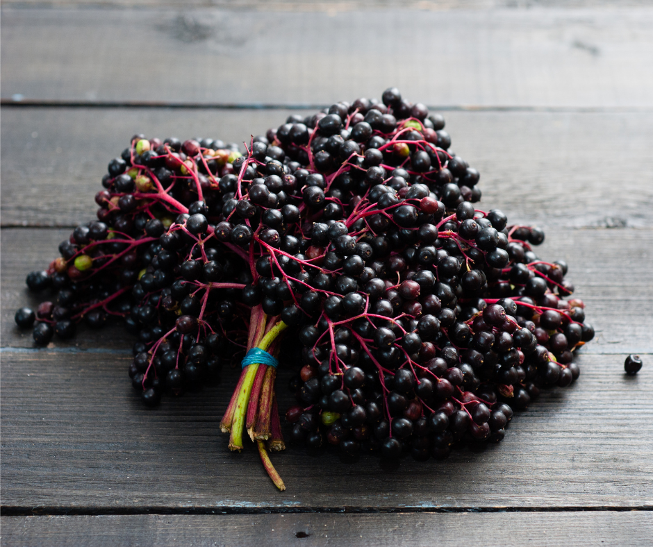 What Does Elderberry Taste Like: Exploring its Unique Flavor Profile