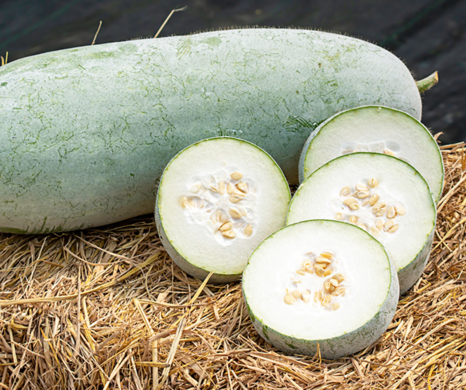 What Does Winter Melon Taste Like Delving Into Its Subtle Flavor 