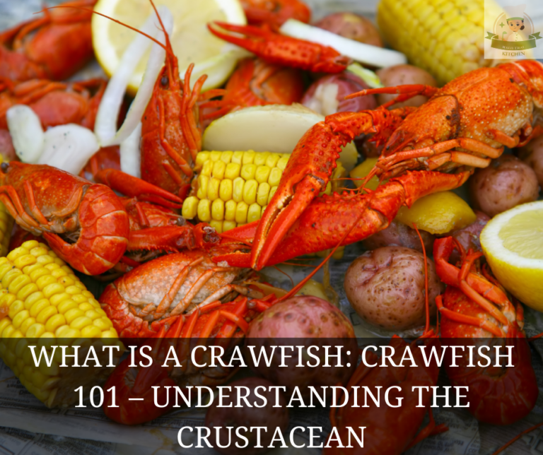 What Is a Crawfish: Crawfish 101 – Understanding the Crustacean